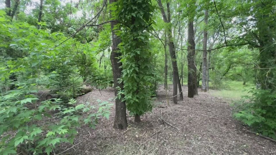 � 15 �� 17 �������� �������� ���� ���� �� ����������!