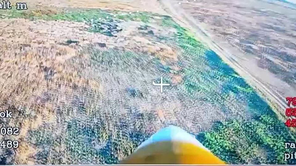 ����� ��.�����������. ��� ����� �������� ��� ���� ��������������� "�����"