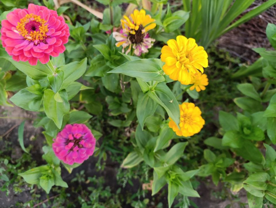 ������ ����, ������ ���������� �������������� ������!