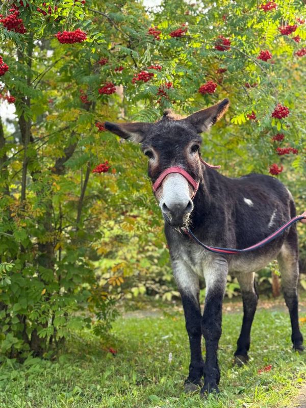 � �������� �������� ������ �������� ������ �����