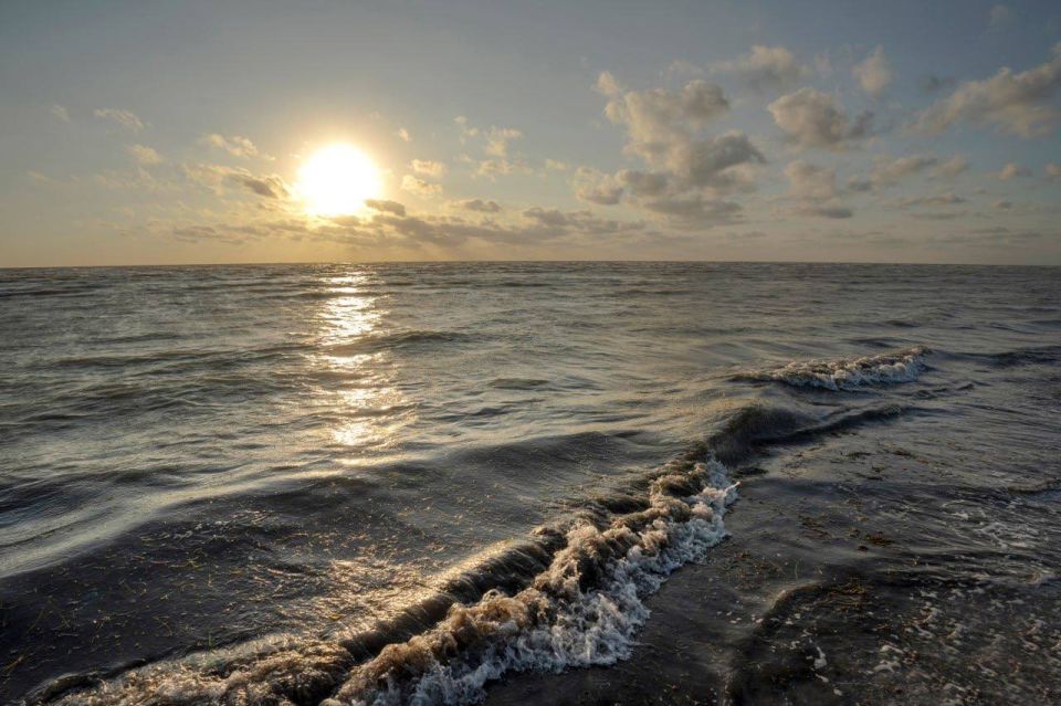 � ��������� ��������� ������������ ��������-���