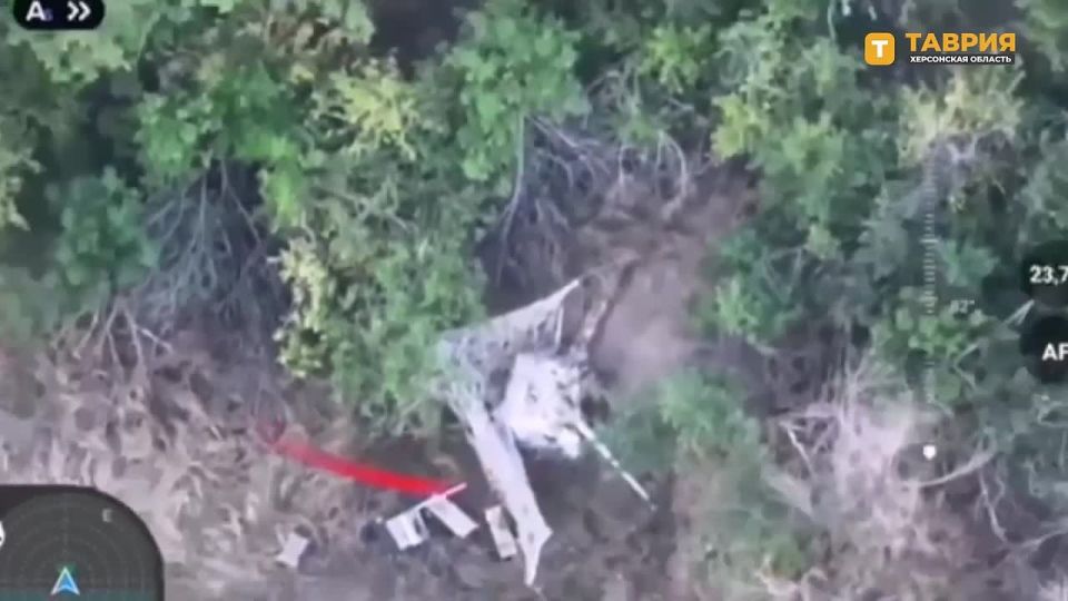 ��������� FPV-������ � ������������ ����������� ����� "�����" ���������� ��������������� �������������� ������ ���