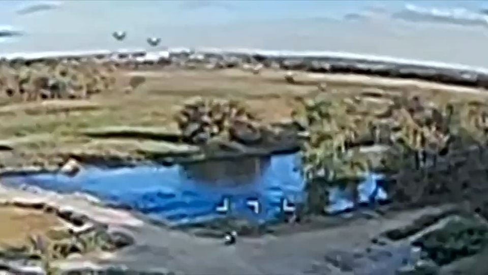 �� ������. ���� �� �������