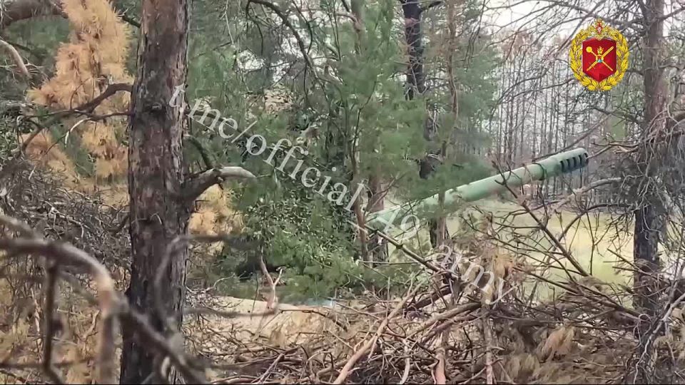 ������ ������ ������� ������ ��������-��