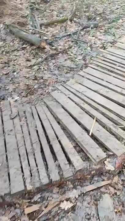 ���� ����� ������� � ���� ��������� ������ ����