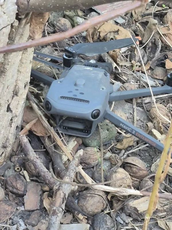 � ������������� ������ ����������� ����