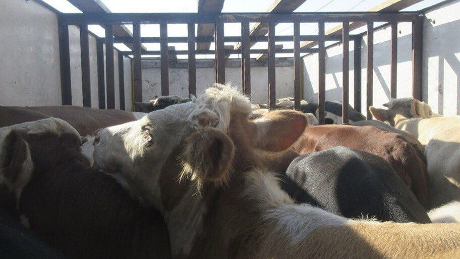 �������� ���������� ����� �� ���������� ������� 27 ����� �������� �������� �����