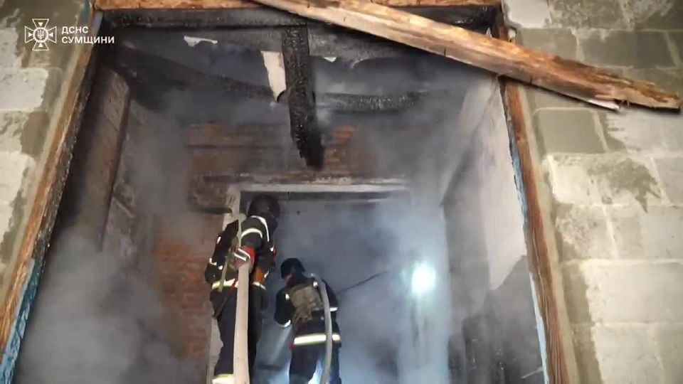 ���� ����� ������������ "���������" ����