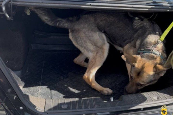 ������ ����� ������� ����� ��������� � ���������� � ���������� �������