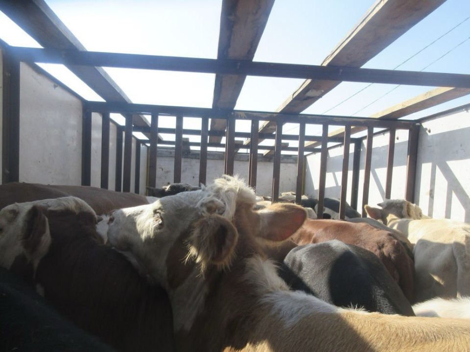 �� ���������� ����� �������� ������ 27 ����� ��� ����������