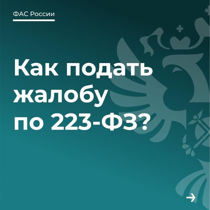 Как подать жалобу на закупку по 223-ФЗ?