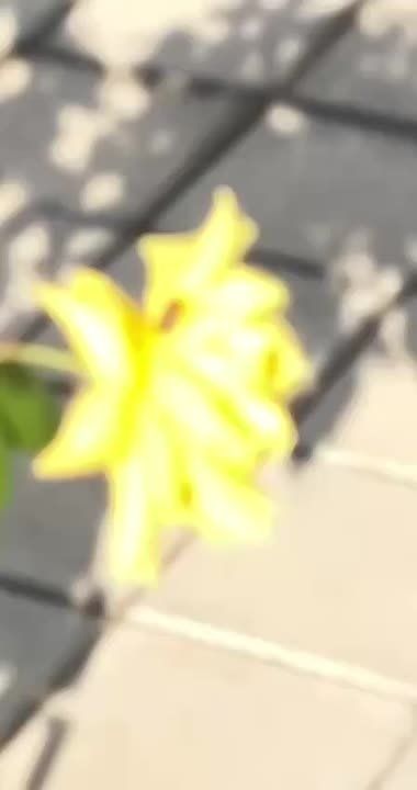 Доброе утро, дорогие новокаховчане!