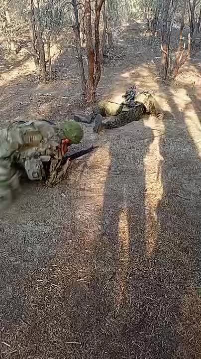 Енот из Херсона: Тактическая медицина в действии!