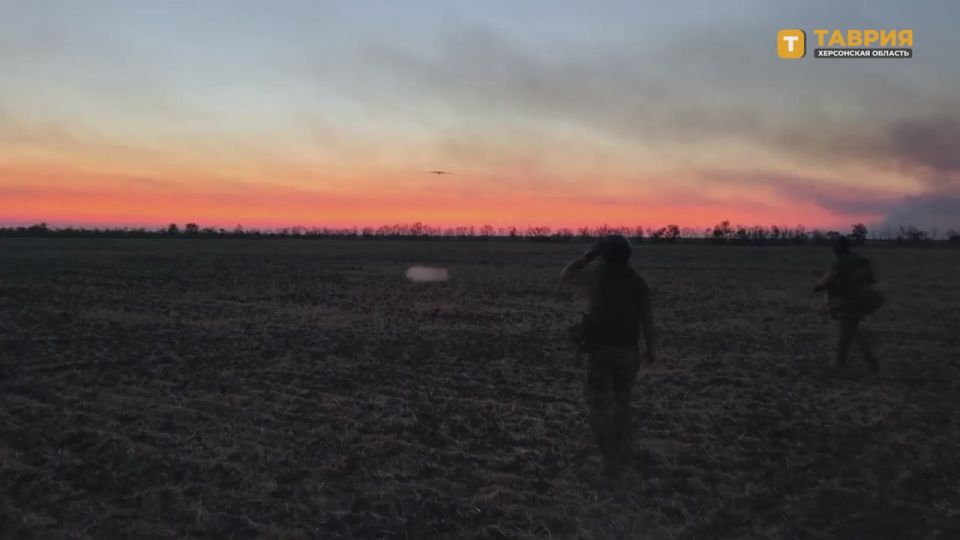 ������������ ����������� ����� "�����" ���������� ����� ���������� ���� ��� �� ���������� �����������