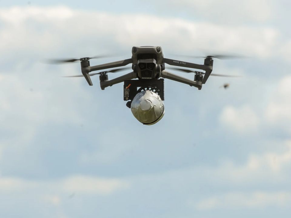 ���������� ���� ������� ������ ������� �� ����������� ���, ��� ����� �� �����