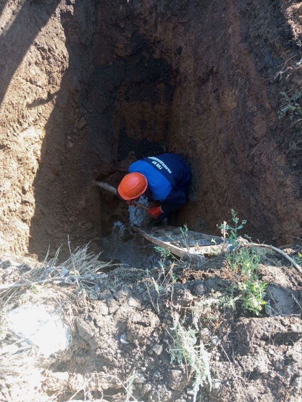 ���������� ��� �� ������������˻ ���������� �������� ������ �� ����������� ����������������� ������ ������������� � ������������� � ��������� ������