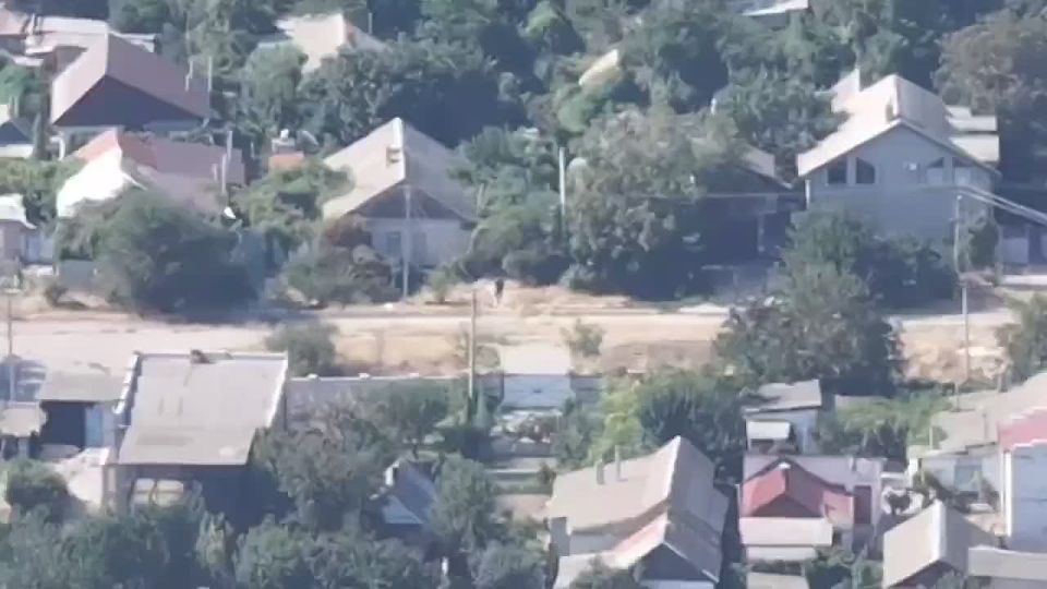 ������. ������� ����