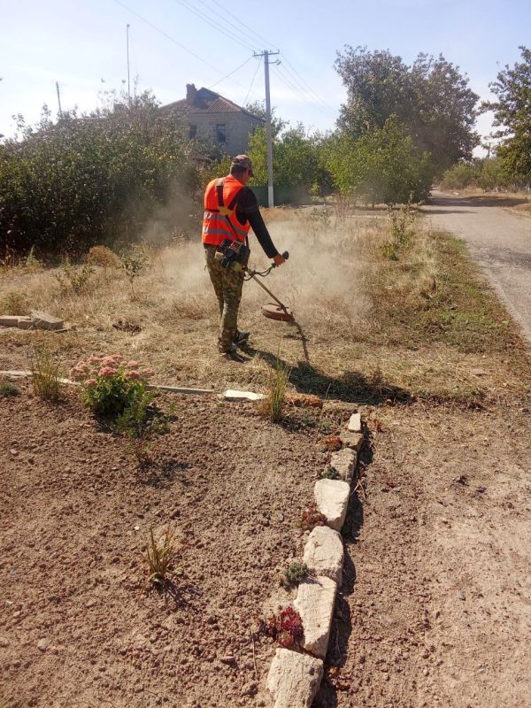 ������ ������ � ����� �����: ������ �� ��������������� � ���������� ������