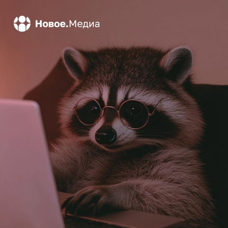 ���� �� �������: ��� �� ����� ���������? ���������� � �� � �������� ���������