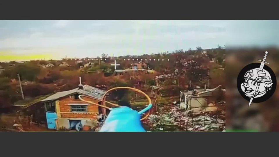 ����� ������ ���������� ���������� FPV-������ �� ���������������� �����������