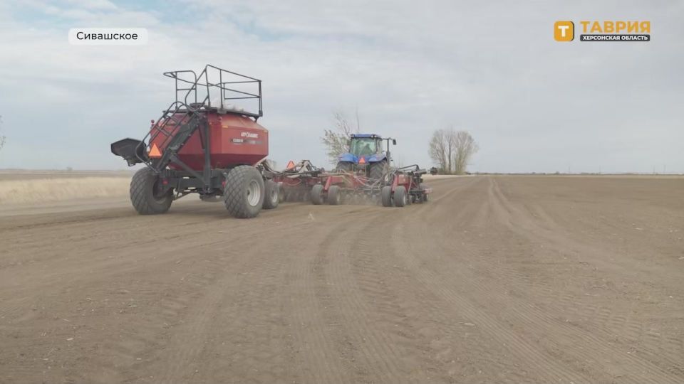 Аграрии Новотроицкого округа начали сев озимого рапса