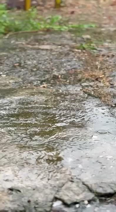 Доброе утро, дорогие жители!