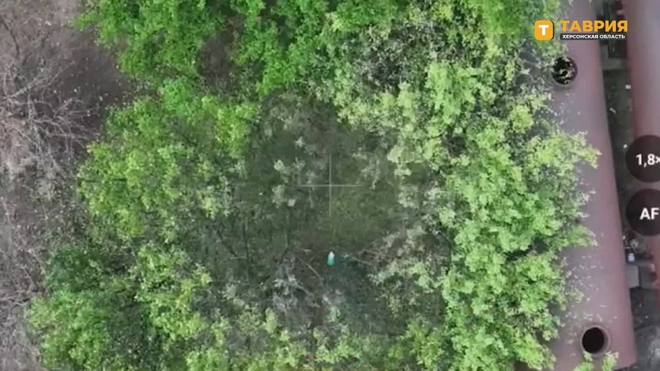 ��������� ������� ���� �������������� ����������� ���������� ������ ������ ���