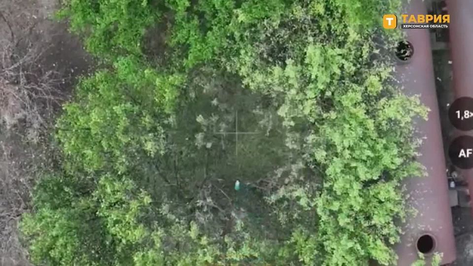 ��������� ������� ���� �������������� ����������� ���������� ������ ������ ���