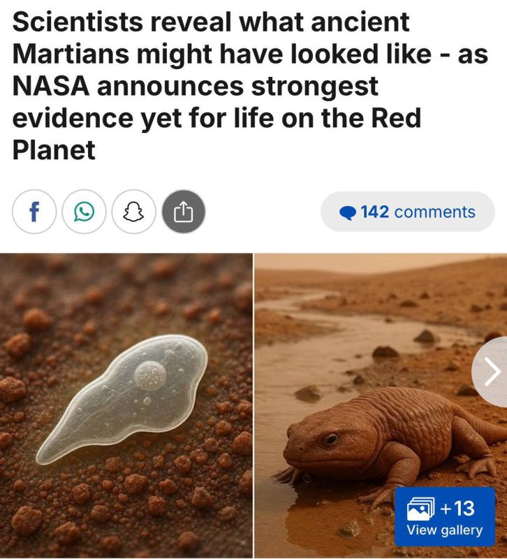 �� ����� ������� �������� ����� � ������� �� 30 ��� ������������