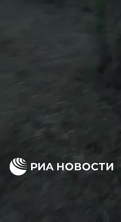 �����������-���������������� ������ ���, ���������� �� 4 ��������, ����������� ������� ������������� ���� "����-���", ���������� �� ������ ������ ������ � ���������� ������� ��� ������� ������������� �� ����� �����, ��������...