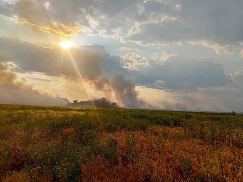 � ����������� ����������� �������� ����� �� ������� 0,3 �������