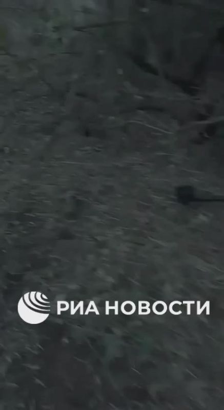 �����������-���������������� ������ ���, ���������� �� 4 ��������, ����������� ������� ������������� ���� "����-���", ���������� �� ������ ������ ������ � ���������� ������� ��� ������� ������������� �� ����� �����