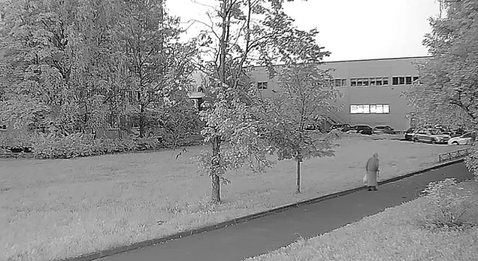 ��� ������ ��������� ������������ ���������� ���� ���������� ��������� � �. �����-����������