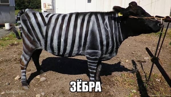 ������ ������� ���� � �����������