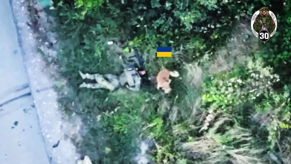 �������������� �� �� ����������� �� ������ ���� �������� ��� � ������� ��������� ��������������