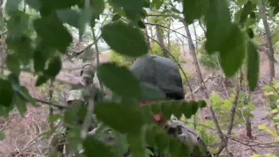 ������������ ����������� ����� ������ ���������� ��� �������� ��� �� ������������ � ���������� �������