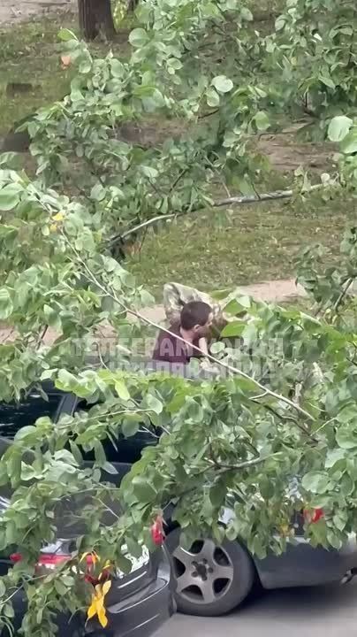 �����. ��� ����������� ��� ������� �������, ���� �� ����� �����, �� ����� ����