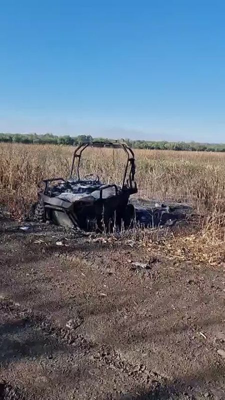 ������������ ���������� �������� ���������������� �������� Ratel Nurse