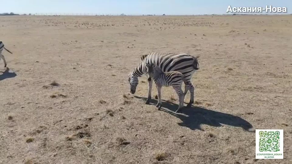 � ��������-���� � ����� ��������� �������!