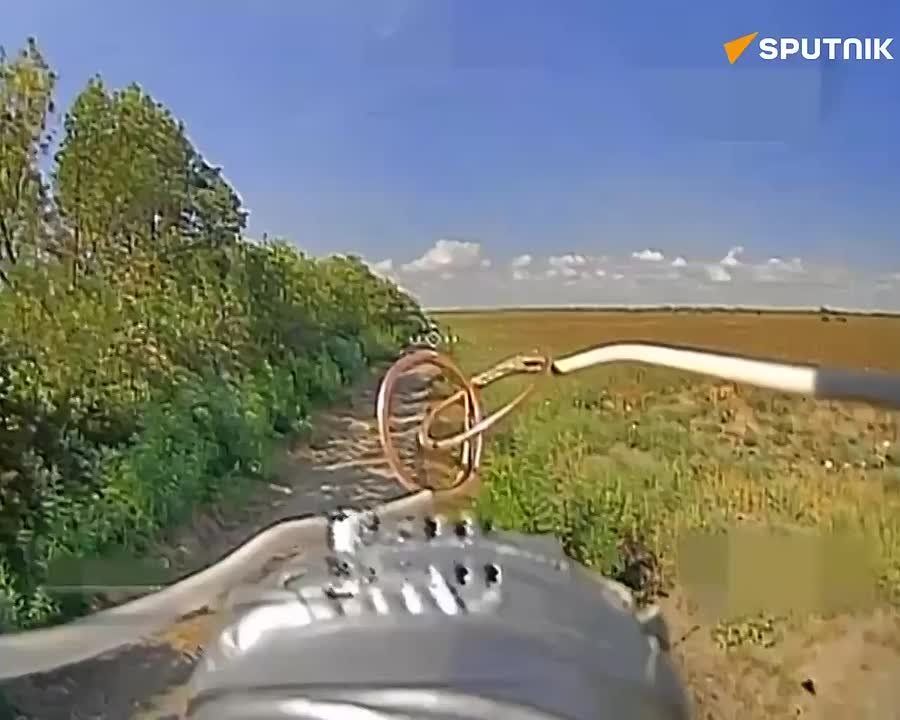 �������� �������� ������������ ���� ������ ������� �� �������������� ������������