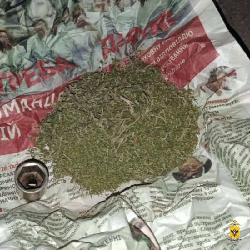 Полицейские изъяли марихуану у 25-летнего жителя Новотроицкого округа