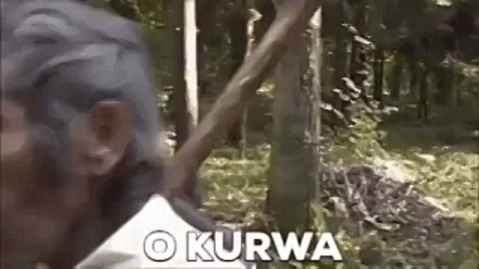 ���� �� �������: �����i�. ������� 30% ������� ������ �������� ������ � ������ ��������� ������