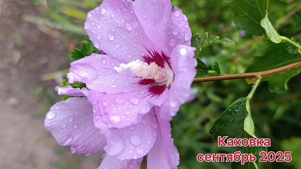 ������ ����, ������ ���������� �������������� ������!