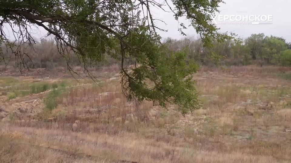 �������� ������� ��� �������������� ���������� �������