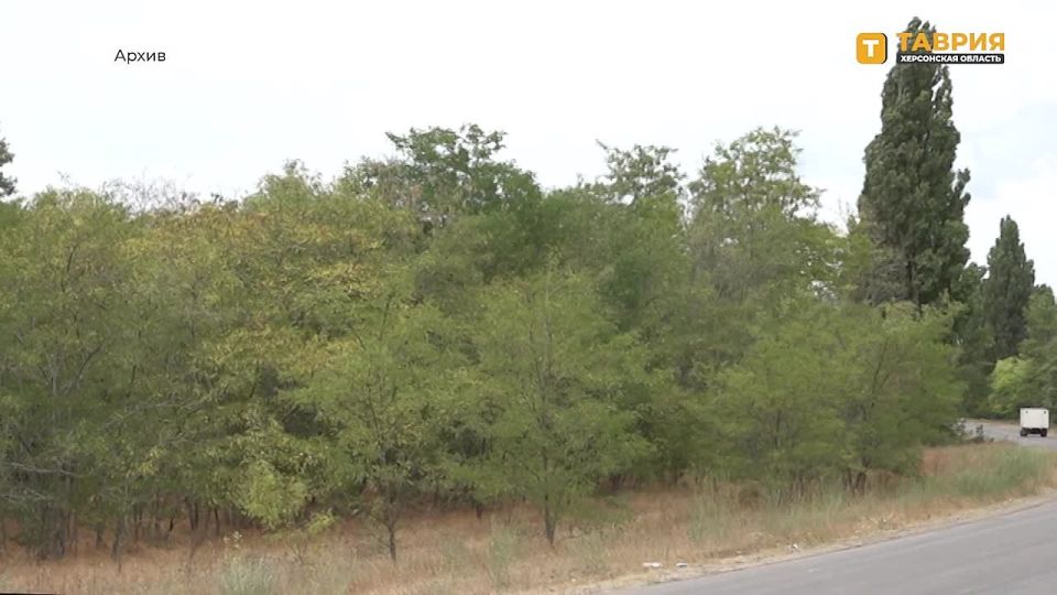 � ���������� ����� �1 ������� ���������������� ������ � ���������� ��� ���������� ����