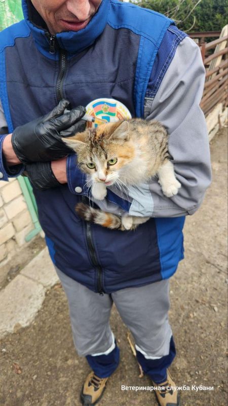 ��������� ���������� ���������� � ������������� ������ ������ � ���������� �������