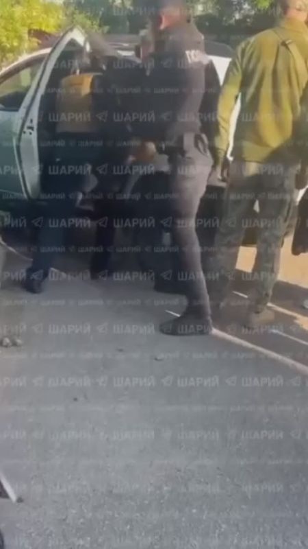 � "����������" ������������ �������������� "�����������"