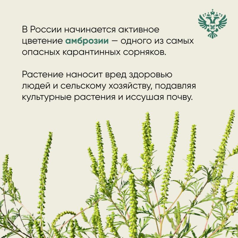 ���������������� ������������� � ������ ������� ��������� �������� ��������