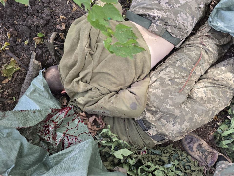 ����� 21+: �������������� ���, ����������� ������������, ������� ������������ �����