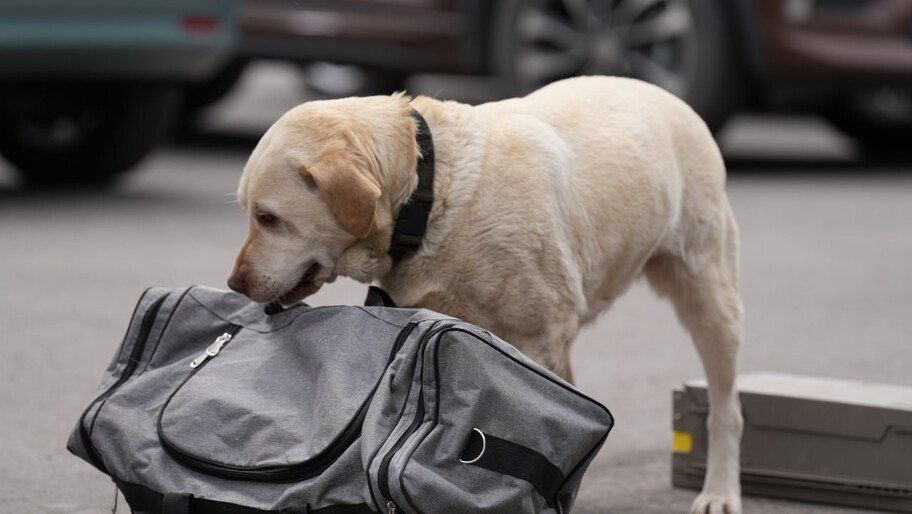 ������� ��������� ������� ��������� ��� � ���������� ����� � ���������� ��� �����������